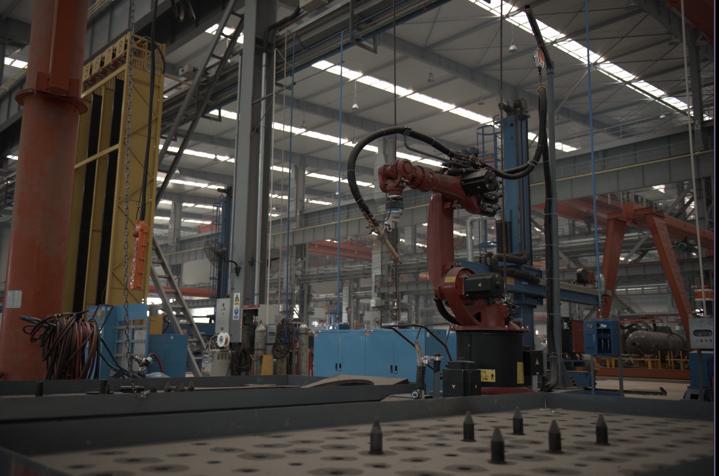 w66注册